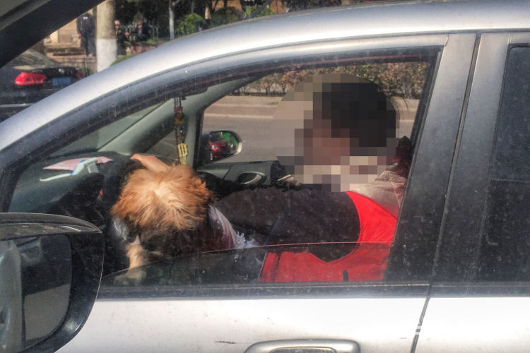 『兜风』太危险！主干道上俩宠物犬车窗伸出脑袋左右张望“看风景”