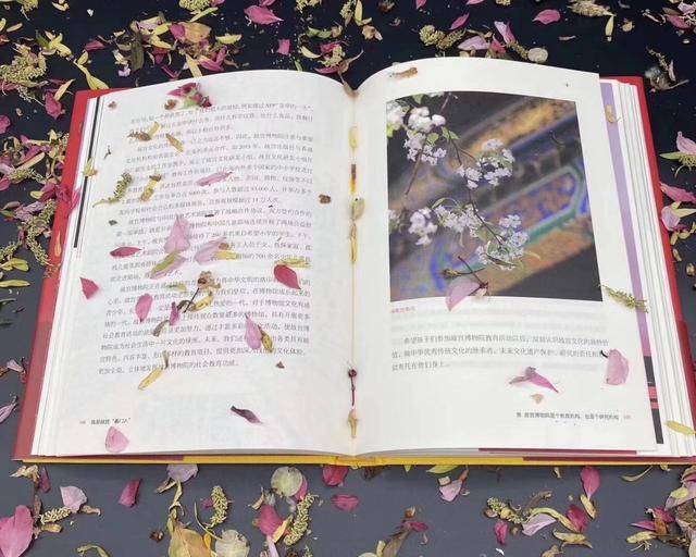 「故宫」故宫里有多少井盖儿？网红院长单霁翔新书《我是故宫看门人》给你答案