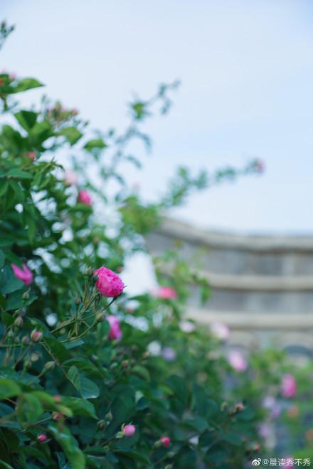 []大风蓝色预警继续 4月22日青岛市区最高气温13℃