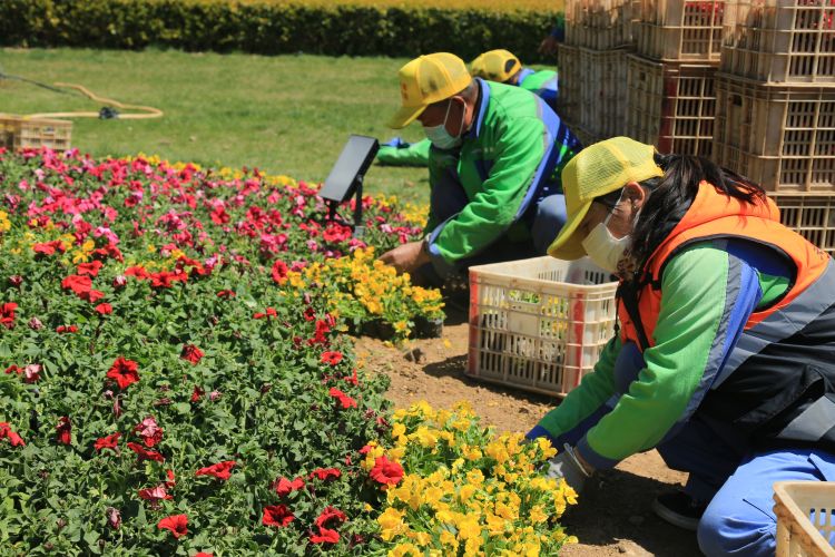 更出：“景”上添花迎五一 青岛海滨风景区鲜花布景迎四方宾客