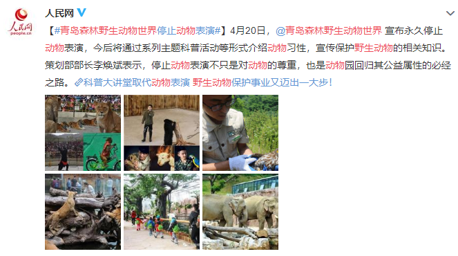 ■青岛森林野生动物世界宣布永久停止动物表演 将推主题科普活动等