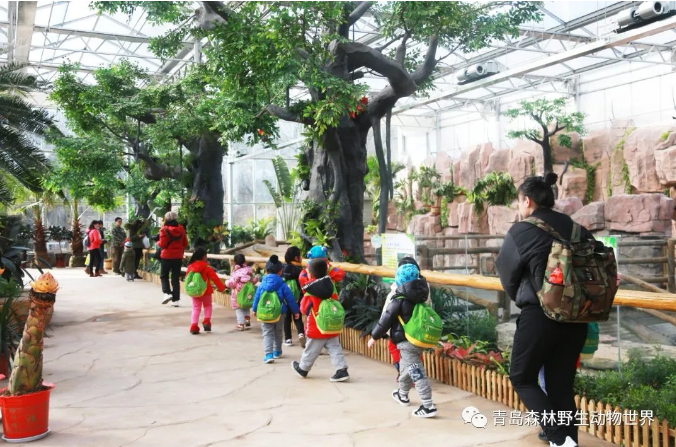 ■青岛森林野生动物世界宣布永久停止动物表演 将推主题科普活动等