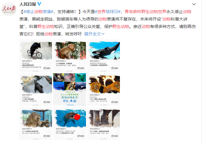 ■青岛森林野生动物世界宣布永久停止动物表演 将推主题科普活动等