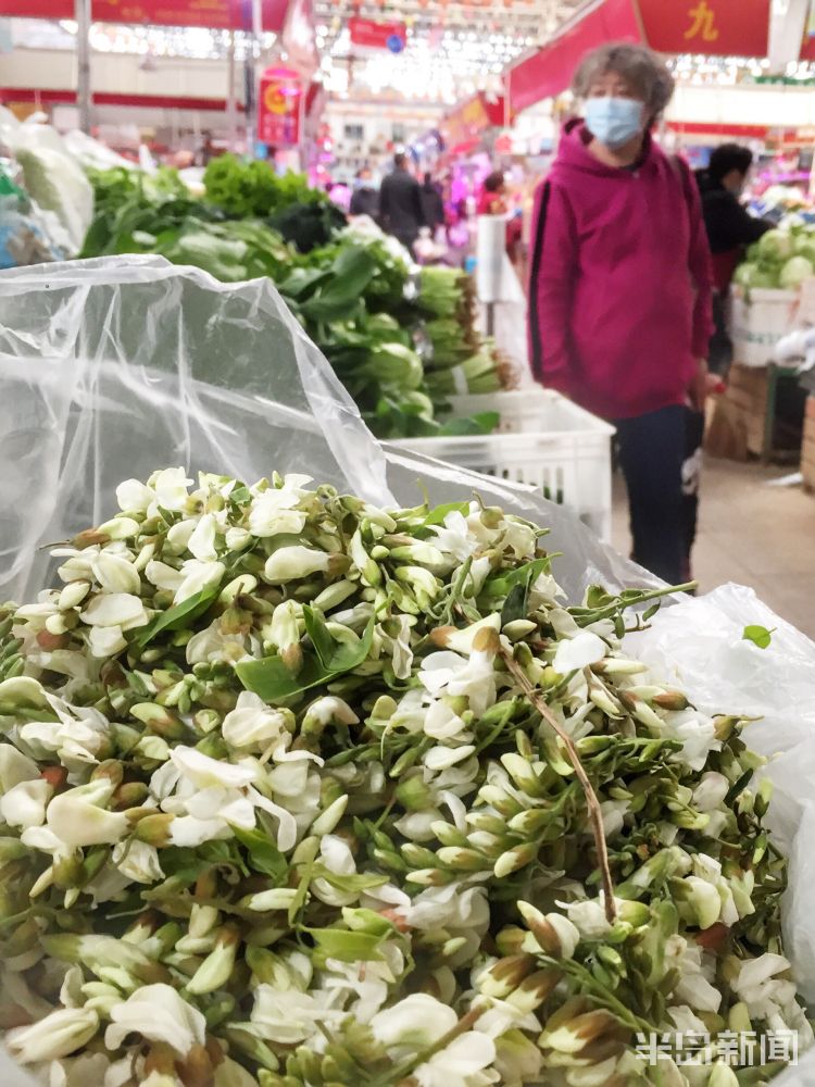 『亲民』青岛周边地区槐花陆续上市 价格降至6-7元更亲民