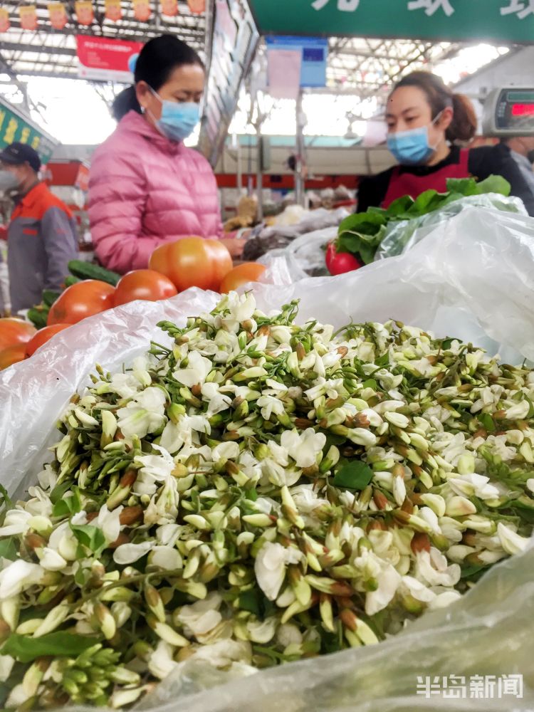 『亲民』青岛周边地区槐花陆续上市 价格降至6-7元更亲民