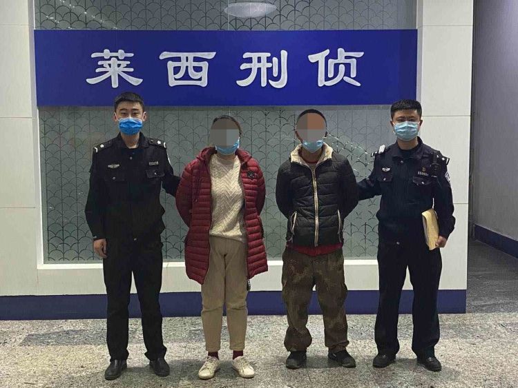 『猪舍』莱西一小伙为给猪舍上设备 酒后深夜偷鸡场还把老婆坑了