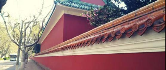 「祥子」青岛市图书馆带领大家探寻老舍先生《骆驼祥子》背后的故事