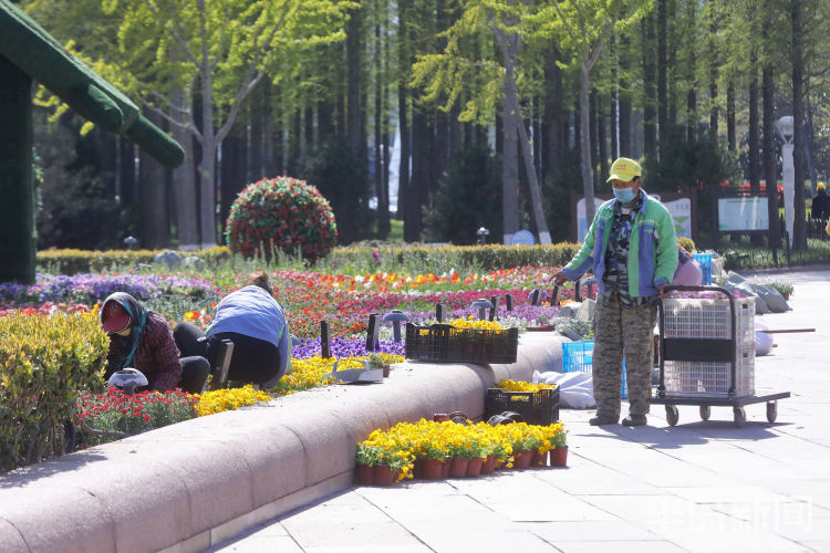 扮靓■“扮靓”五四广场：工人种植鲜花 让花坛焕然一新