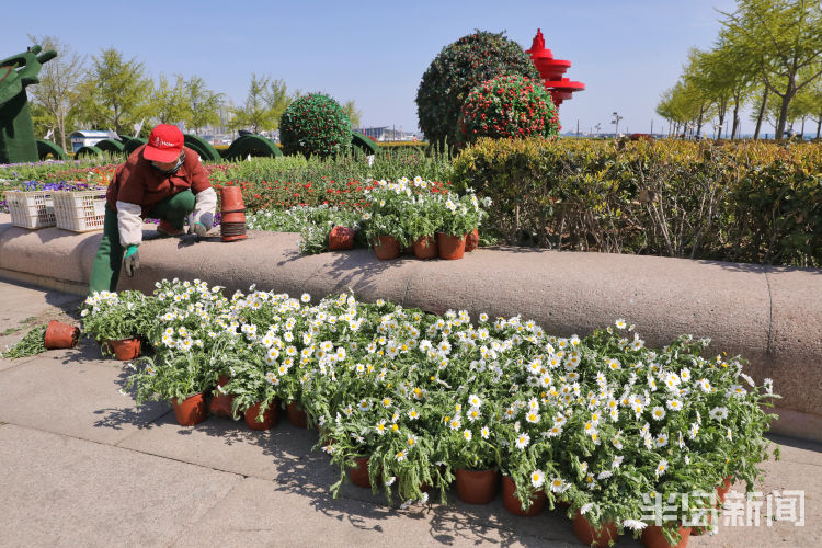 扮靓■“扮靓”五四广场：工人种植鲜花 让花坛焕然一新