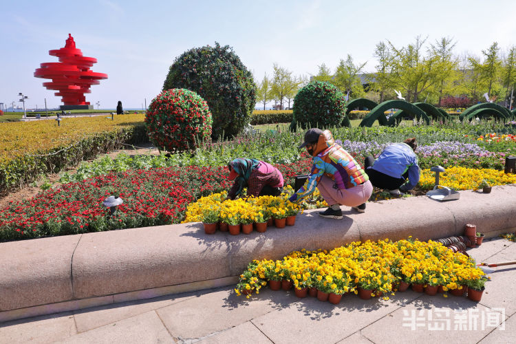 扮靓■“扮靓”五四广场：工人种植鲜花 让花坛焕然一新