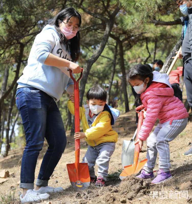 【亲情】青岛开展“家庭亲情林”植树活动 双山上种下500余株麻栎