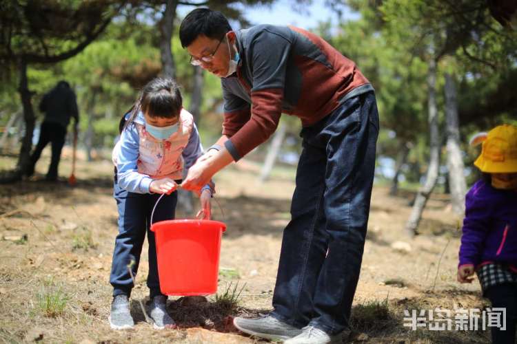 【亲情】青岛开展“家庭亲情林”植树活动 双山上种下500余株麻栎