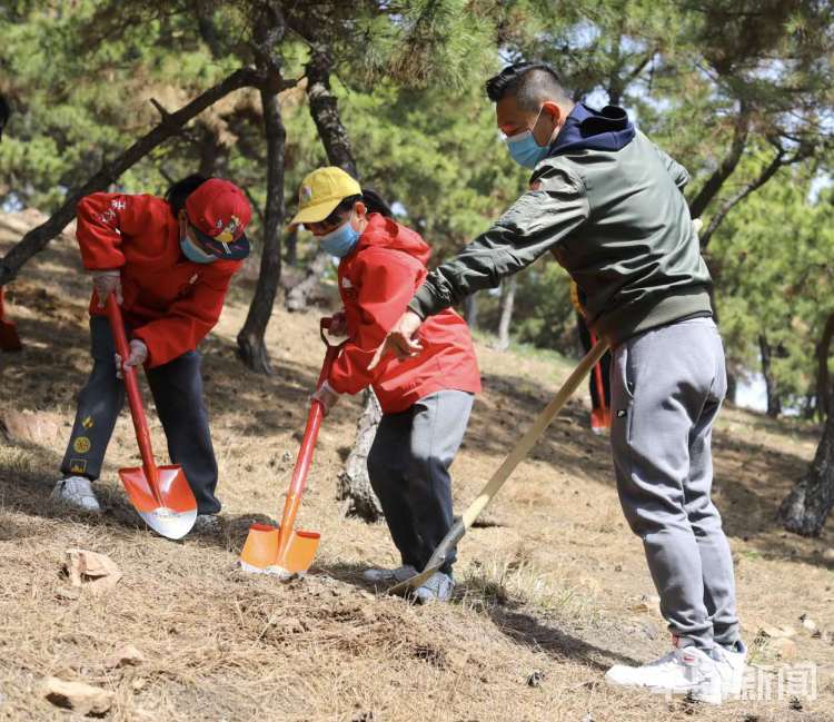 【亲情】青岛开展“家庭亲情林”植树活动 双山上种下500余株麻栎
