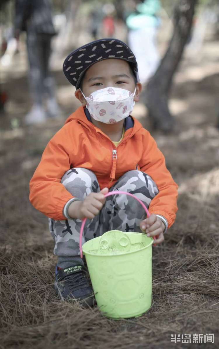 【亲情】青岛开展“家庭亲情林”植树活动 双山上种下500余株麻栎