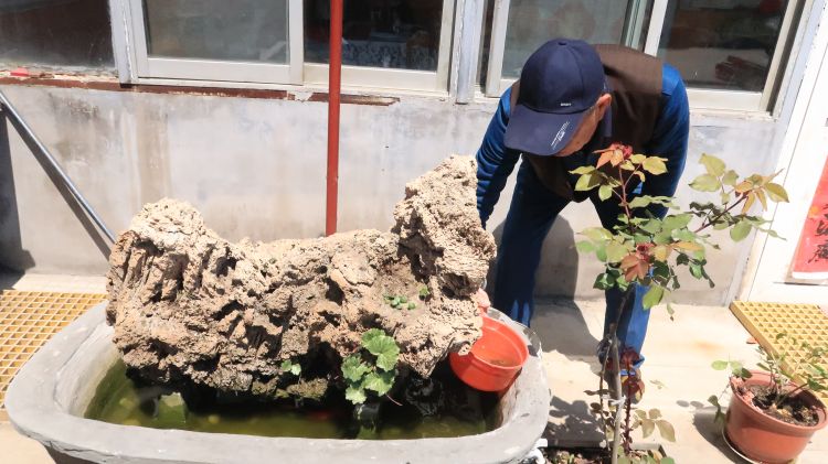 『城阳』青岛城阳区72岁老党员侯成贞：坚持战疫 背消毒水走街串巷进行消杀