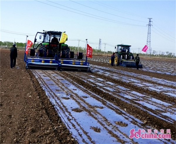 「」山东农业好帮手：智能化大棚、无人植保机“黑科技”走上田间地头