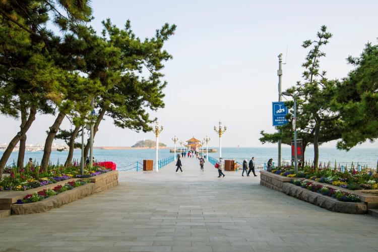 花海世界迎五一265万盆多色花卉扮靓青岛海滨一线