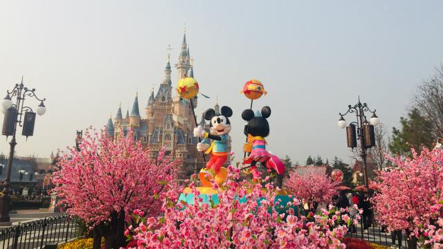 ##上海迪士尼5月11日起重新開(kāi)放 每日控制游客量