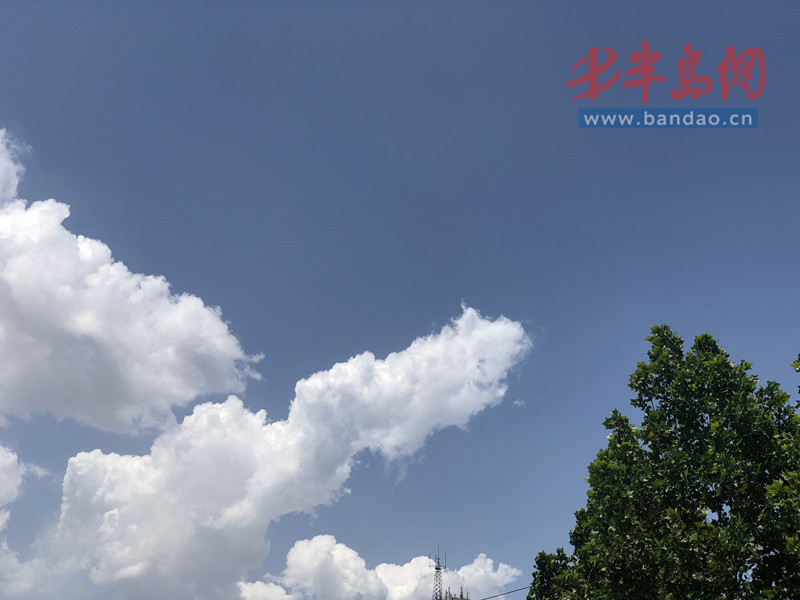 5ec22d0a2748db01c0f1075c.jpg