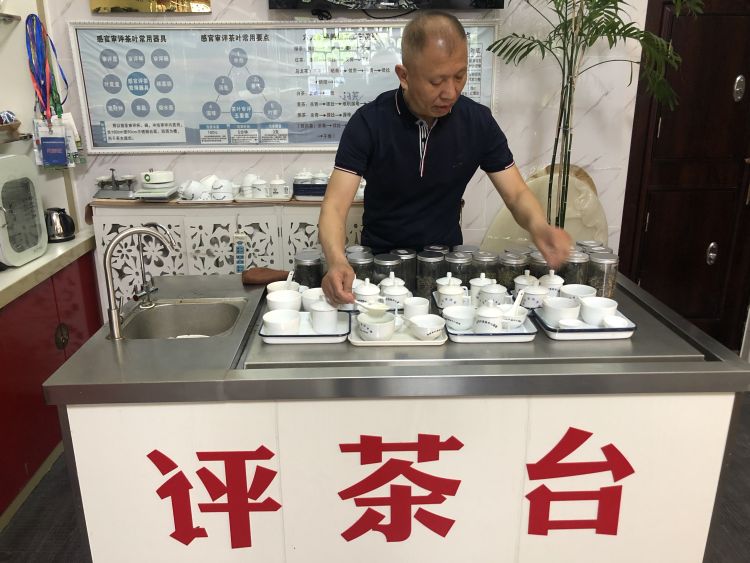 评茶师运动健将变身国家一级评茶师 57岁纪文尚开直播传播茶文化