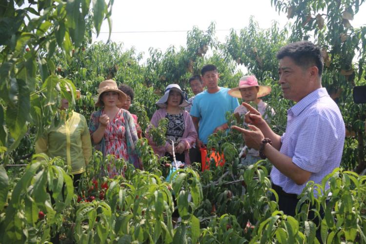 莱西市弘扬科学精神 激发创造潜能 引领创新发展——莱西市科协举办丰富活动庆祝第四个科技工作者日