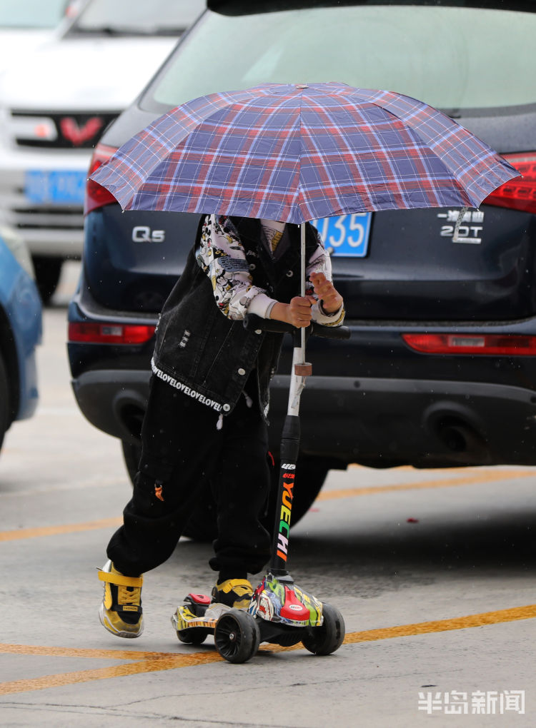 凉意青岛：小雨润如酥 周末添凉意