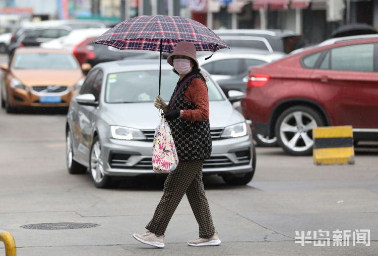 凉意青岛：小雨润如酥 周末添凉意