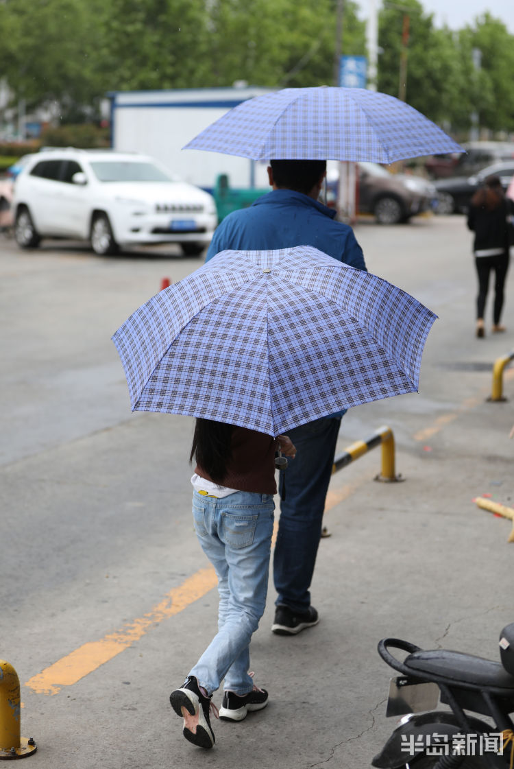 凉意青岛：小雨润如酥 周末添凉意