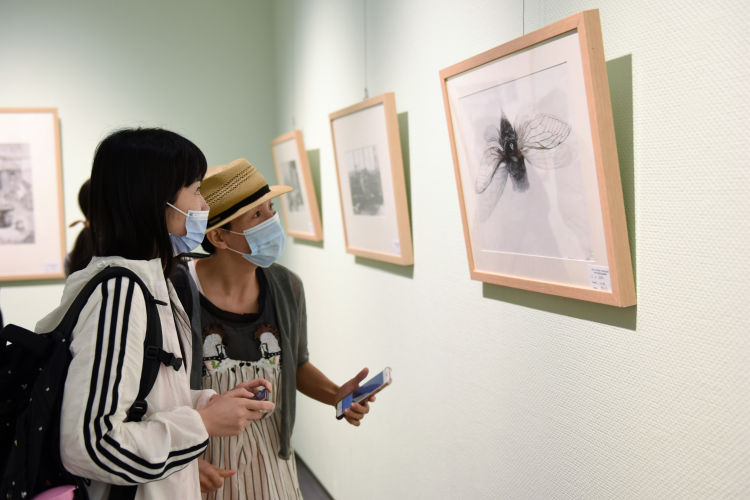 美术班青岛十七中举行历届美术班毕业生优秀作品回顾展 200余幅习作展“学霸”硬核实力