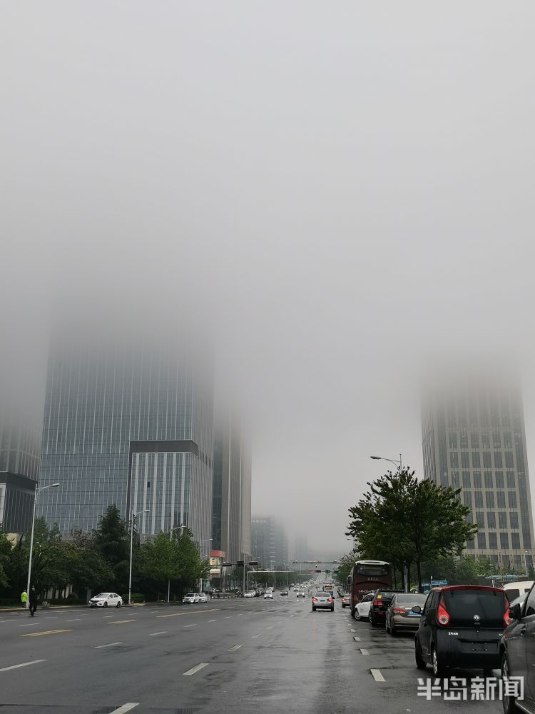 雨来崂山区：淅淅沥沥的降雨过后 雾从海上来