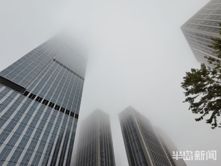 雨来崂山区：淅淅沥沥的降雨过后 雾从海上来