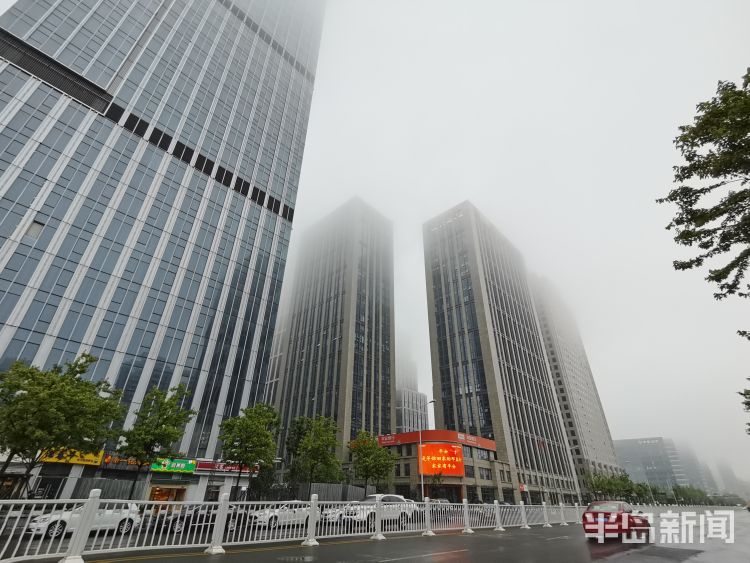 雨来崂山区：淅淅沥沥的降雨过后 雾从海上来