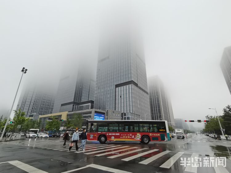 雨来崂山区：淅淅沥沥的降雨过后 雾从海上来