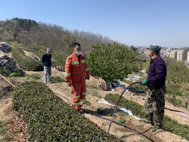 多措青岛崂山区金家岭街道：多措并举保绿水 齐心协力护青山