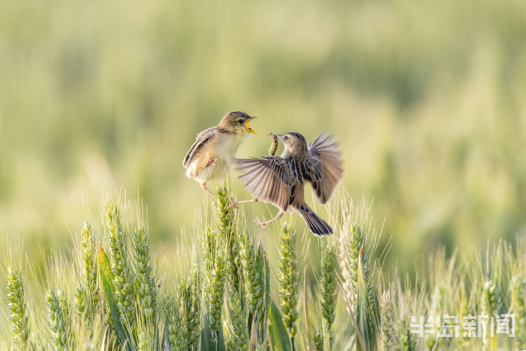 获奖作品同一片天空——“凝聚瞬间”摄影比赛（五月下）获奖作品出炉