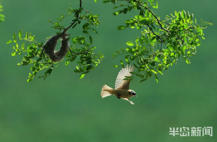 获奖作品同一片天空——“凝聚瞬间”摄影比赛（五月下）获奖作品出炉