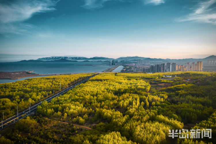 获奖作品同一片天空——“凝聚瞬间”摄影比赛（五月下）获奖作品出炉