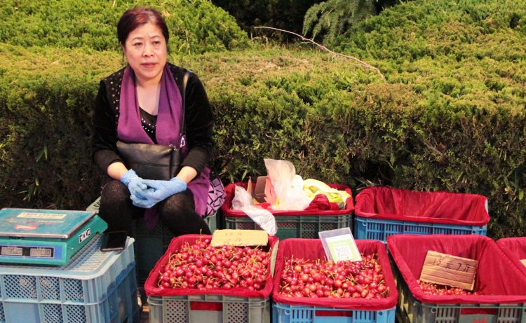 天热特别策划·图说 |青岛：天热了 地摊火了