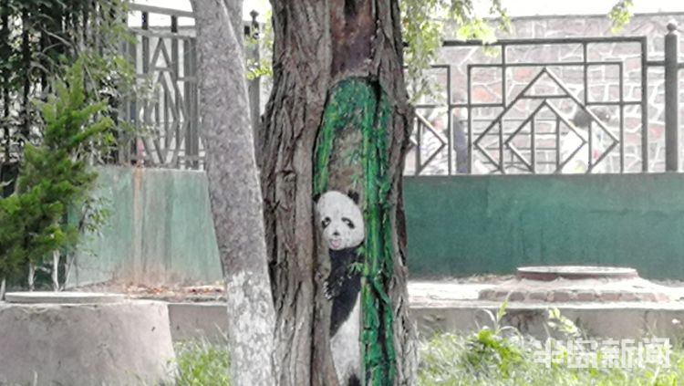 树洞市北区海泊河公园一处树林 树洞内被绘上小动物图案