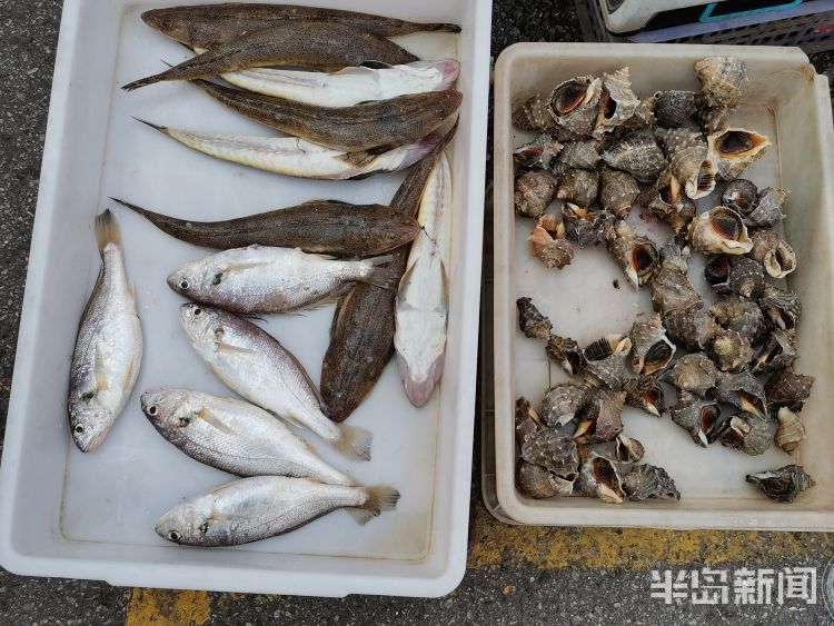 大集市南区新田路：家门口“赶大集”商贩空地上摆地摊售卖