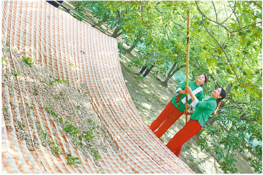 聚焦乡村振兴 看山东平度、宁阳两地农业生产“新玩法”