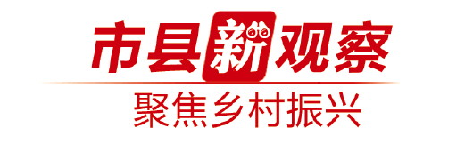 聚焦乡村振兴 看山东平度、宁阳两地农业生产“新玩法”