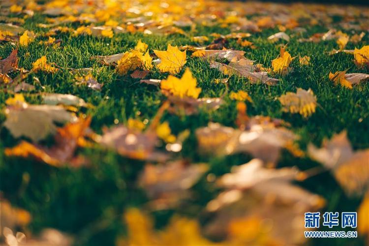 第47个联合国世界环境日：关爱自然 刻不容缓