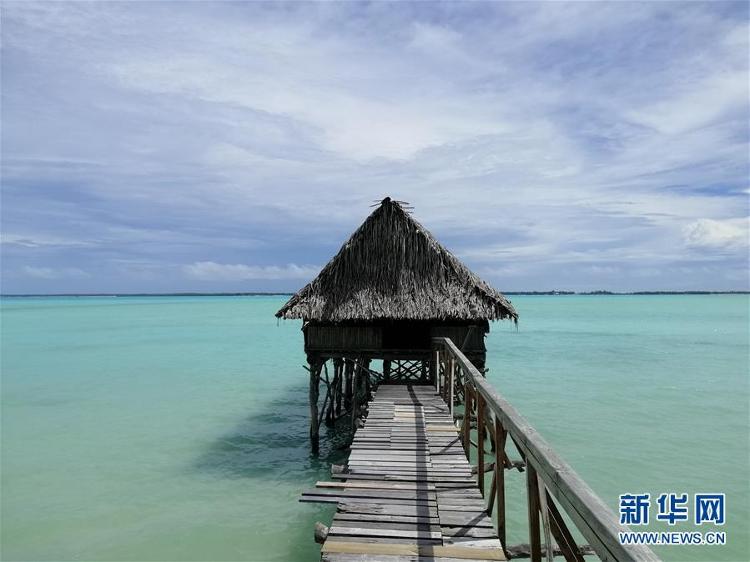 第47个联合国世界环境日：关爱自然 刻不容缓