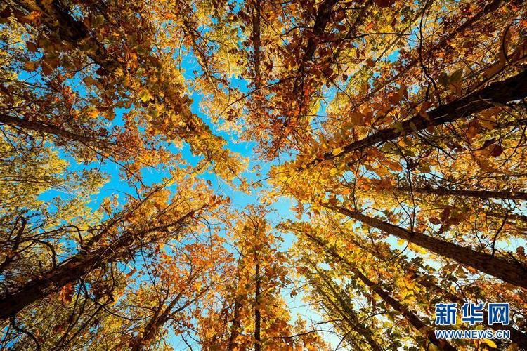 第47个联合国世界环境日：关爱自然 刻不容缓