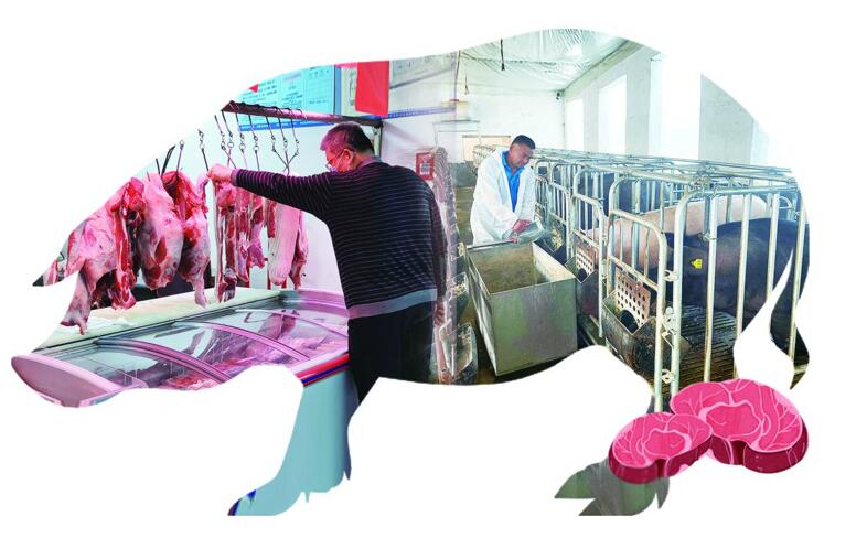 青岛市场猪肉价格逐步回落 本周略涨但反弹空间不大