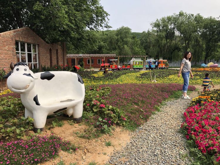 即墨老酒博物馆,鹤山风景区,田瑞生态旅游区,小蜗牛家庭农场等"嗨即墨