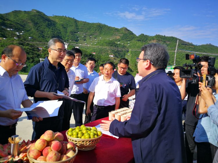 紫云青岛市对口帮扶安顺紫云专家工作站揭牌