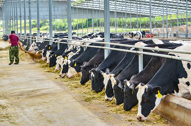 跨越千里山海情 对口帮扶结硕果——青岛与安顺持续深化东西部扶贫协作综述