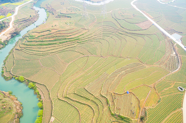 跨越千里山海情 对口帮扶结硕果——青岛与安顺持续深化东西部扶贫协作综述
